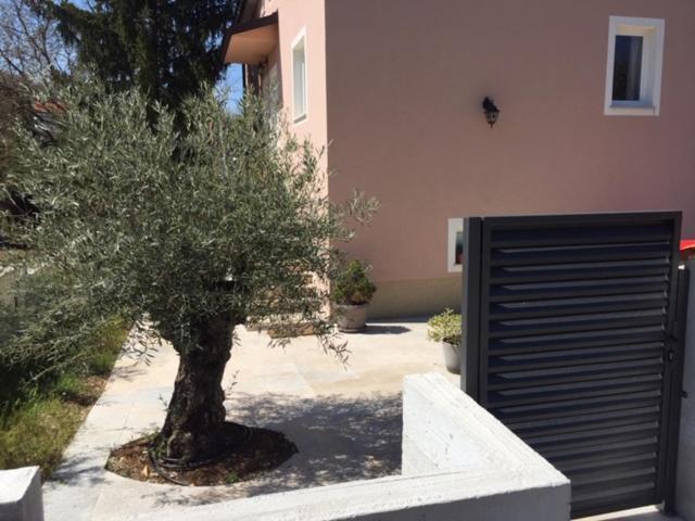 Middle Istra Apartment พาซิน ภายนอก รูปภาพ