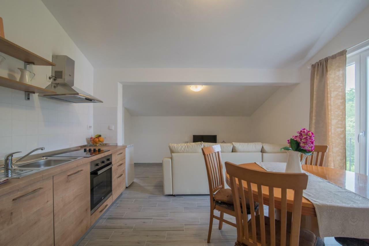 Middle Istra Apartment พาซิน ภายนอก รูปภาพ