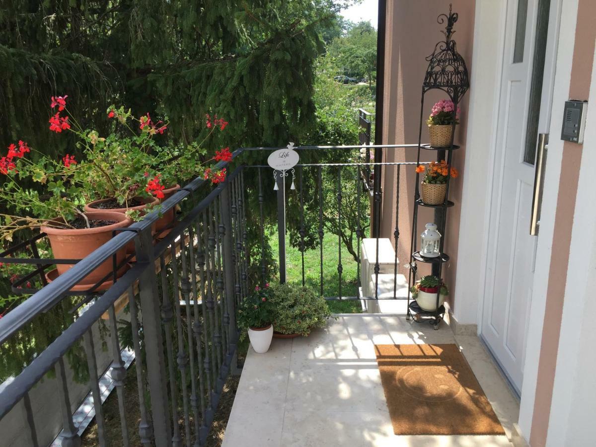 Middle Istra Apartment พาซิน ภายนอก รูปภาพ